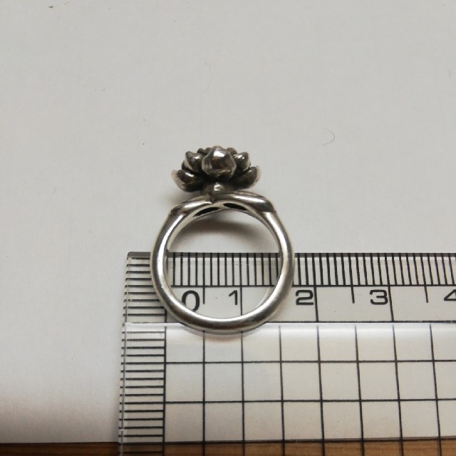 ネックレス&リング レディースのアクセサリー(リング(指輪))の商品写真