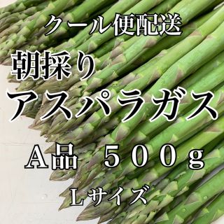 栃木県産アスパラガス(野菜)