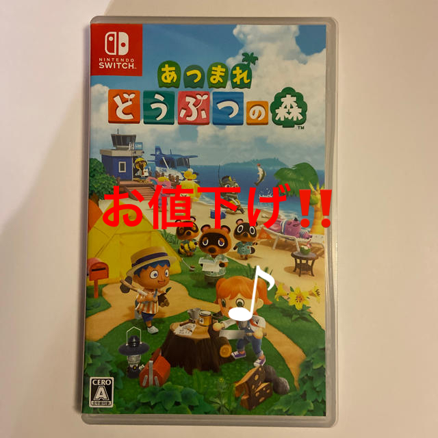 どうぶつの森　Nintendo switch