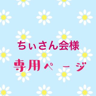 ちぃさん会様専用ページ(その他)