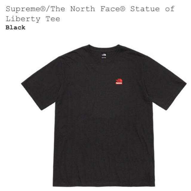 Supreme(シュプリーム)のsupreme north face Statue of Liberty Tee メンズのトップス(Tシャツ/カットソー(半袖/袖なし))の商品写真