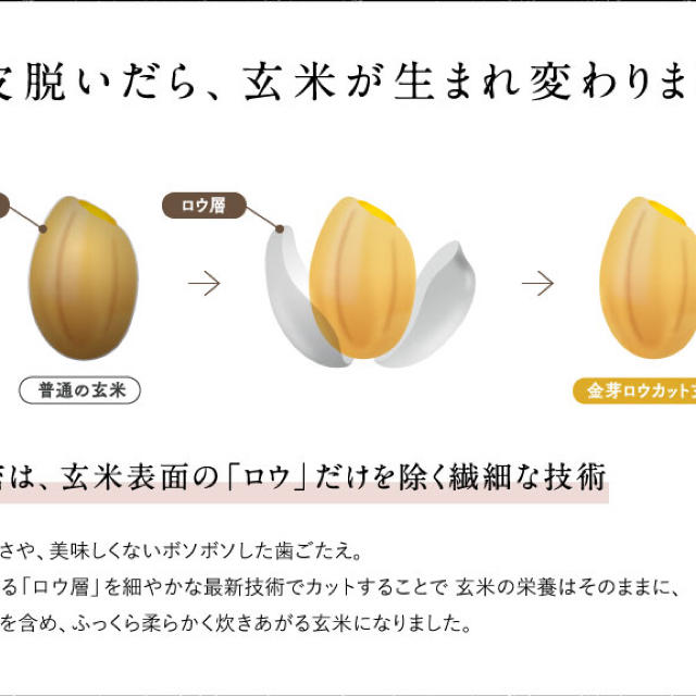 金芽ロウカット玄米　4k 食品/飲料/酒の食品(米/穀物)の商品写真
