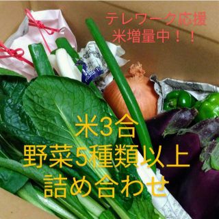 米、野菜詰め合わせセット(テレワーク応援、お米増量中！！)(野菜)