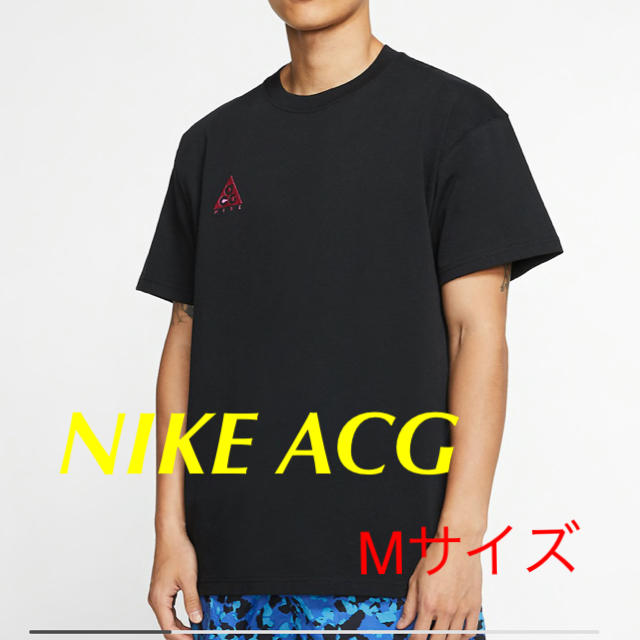 おトク情報がいっぱい！ 【完売品】NIKE ACG INSECTS TEE 海外Lサイズ ホワイト 安い買う:2360円  Tシャツ/カットソー (3/4丈/長袖)