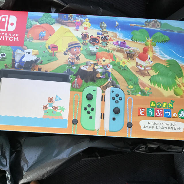 Nintendo Switch あつまれどうぶつの森セット