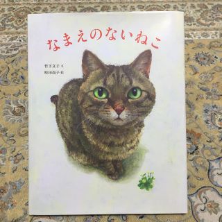 なまえのないねこ(絵本/児童書)