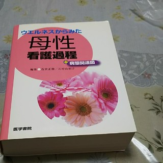 （かりん様専用）ウエルネスからみた母性看護過程＋病態関連図(健康/医学)