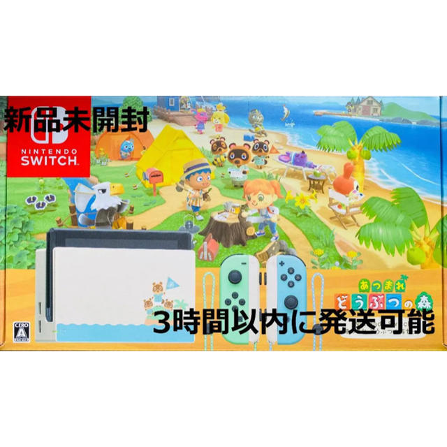 Nintendo Switch どうぶつの森同梱版 新品未使用