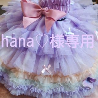 hana♡様専用 2点おまとめ パンパンチュチ　デコチュチュ　M(スカート)