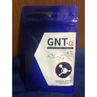 GNT-α １袋