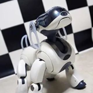 ソニー(SONY)の【専用】【新品未使用】【備品も全て未使用】aibo5代目ERS7正規品(その他)