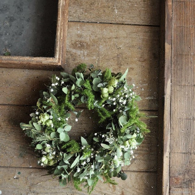 初夏に向けてユーカリが薫るgreen wreath○ドライフラワーリース