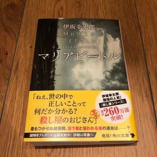 マリアビ－トル(文学/小説)