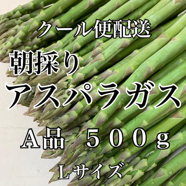 栃木県産アスパラガス500g 食品/飲料/酒の食品(野菜)の商品写真