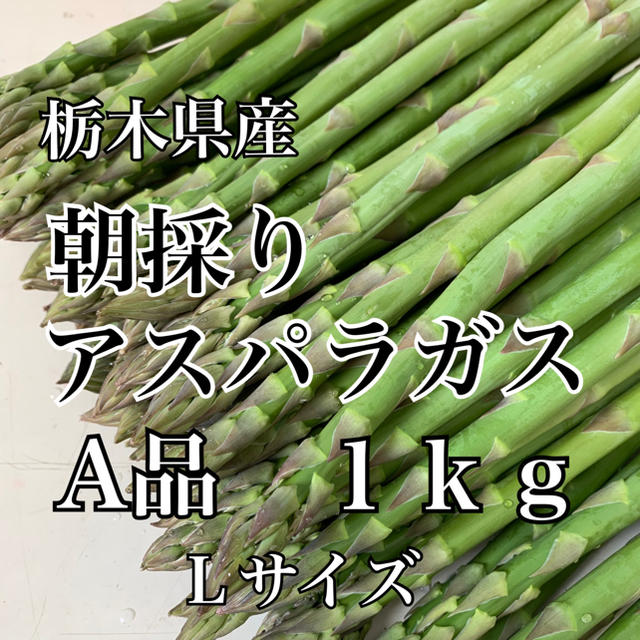 栃木県産アスパラガス１kg 食品/飲料/酒の食品(野菜)の商品写真