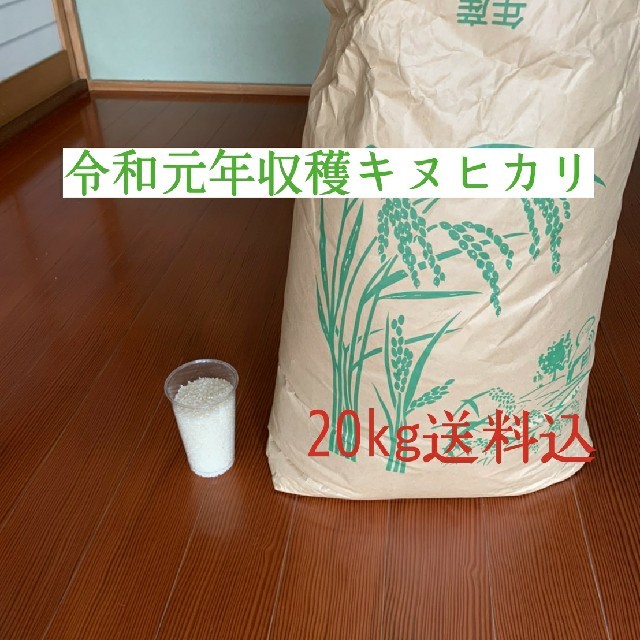キヌヒカリ 令和元年 送料込 米 お米 白米 玄米 ご飯 飯 送料込