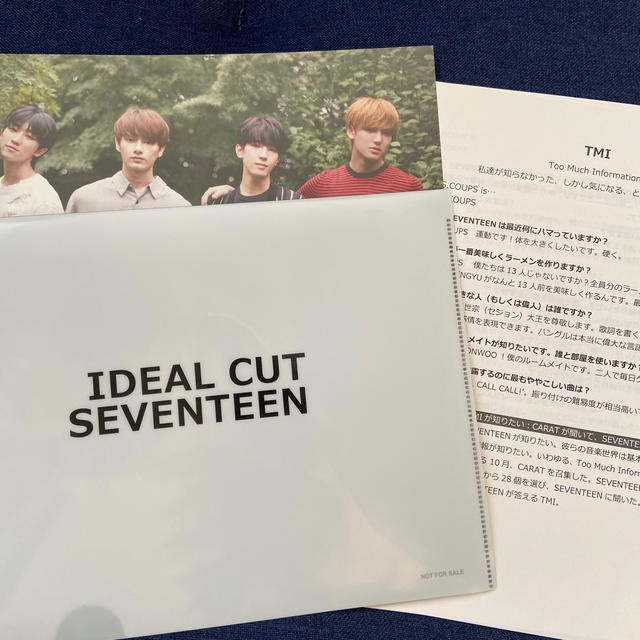 SEVENTEEN(セブンティーン)のSEVENTEEN セブチ　ファイル エンタメ/ホビーのタレントグッズ(アイドルグッズ)の商品写真