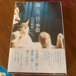 猫と五つ目の季節(アート/エンタメ)