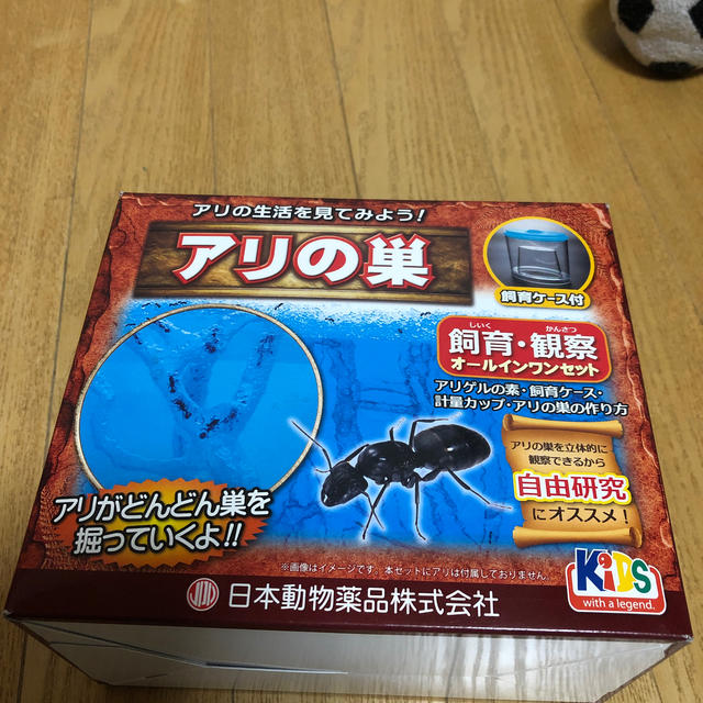 春の新作 ニチドウ 飼育観察セット アリの巣立体 infopetushki.ru アリの巣 飼育セット | energysource.com.br