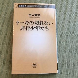 ケーキの切れない非行少年たち(ノンフィクション/教養)