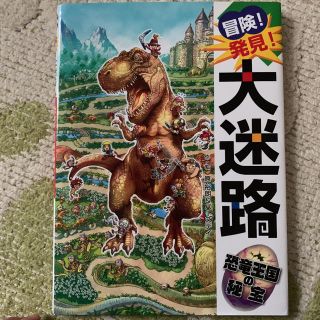 冒険!発見!大迷路恐竜王国の秘宝 本(絵本/児童書)