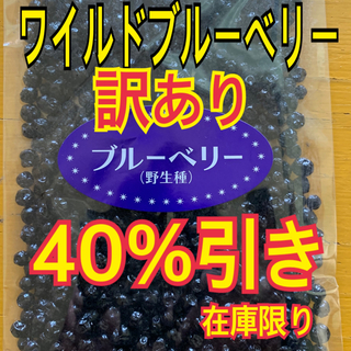 ワイルドブルーベリー【送料無料】(フルーツ)