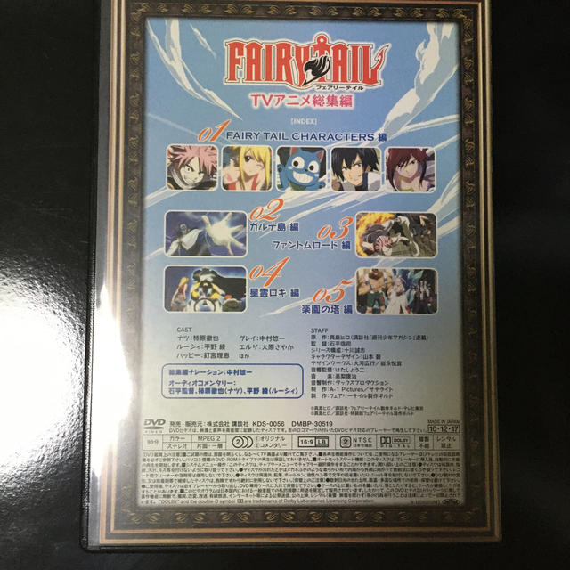 講談社(コウダンシャ)のFAIRYTAIL TVアニメ総集編　DVD エンタメ/ホビーのDVD/ブルーレイ(キッズ/ファミリー)の商品写真