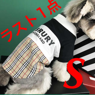 チェック ポロシャツ パロディ 犬の服 犬服 小型犬(犬)