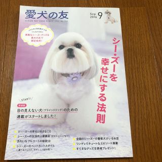 シーズー犬の本(趣味/スポーツ)