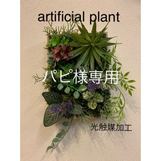 光触媒加工　抗菌消臭ウォールグリーン　額縁(インテリア雑貨)