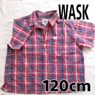 ワスク(WASK)の【WASK】ワスク＊キッズ 半袖シャツ★120cm トップス(Tシャツ/カットソー)