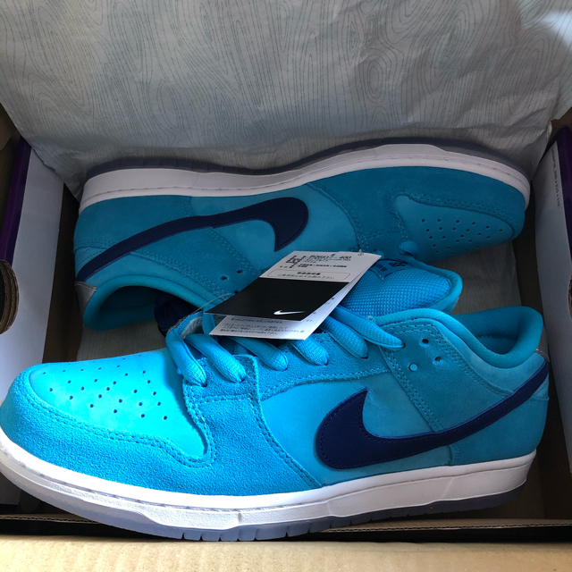 NIKE SB DUNK LOW PRO BLUE FURY 29cm