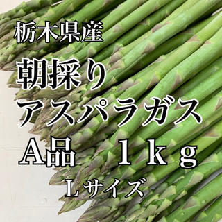 栃木県産アスパラガス１kg(野菜)