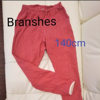 ブランシェス(Branshes)の女児スパッツ(パンツ/スパッツ)