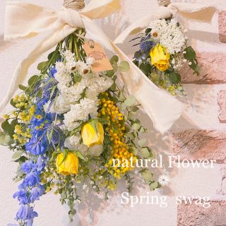 ドライフラワースワッグ❁爽やかディルフィニウムとローズの Spring swag(ドライフラワー)