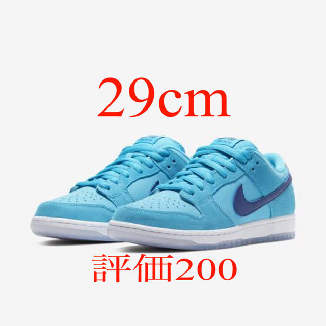 NIKE SB DUNK LOW PRO Blue Fury 29 ダンク 青