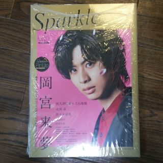 Sparkle　スパークル　 Vol.40　雑誌　岡宮来夢(アート/エンタメ/ホビー)