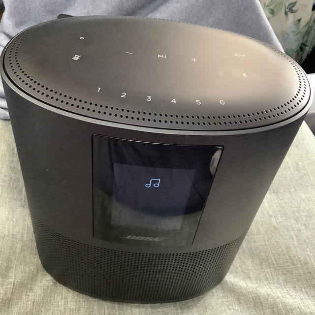 BOSE HOME SPEAKER 500