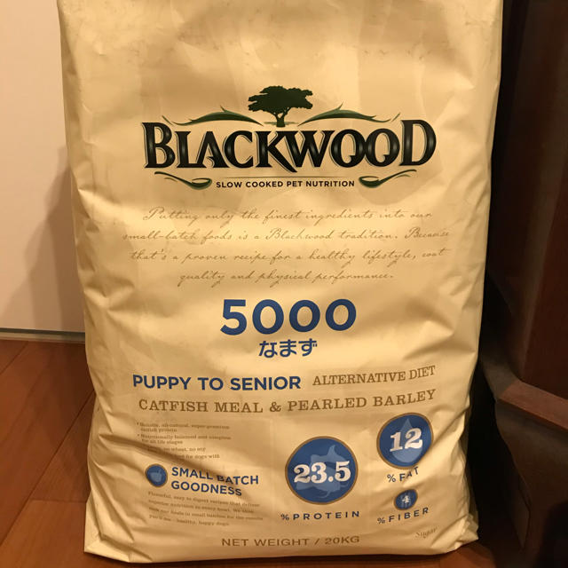 ブラックウッド5000