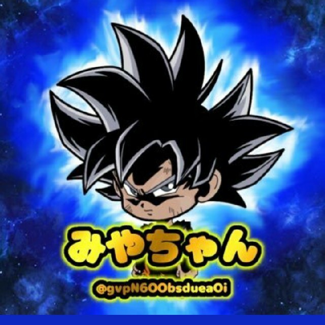みやちゃん様専用 ドラヒカード+オマケ www.csblogistics.com