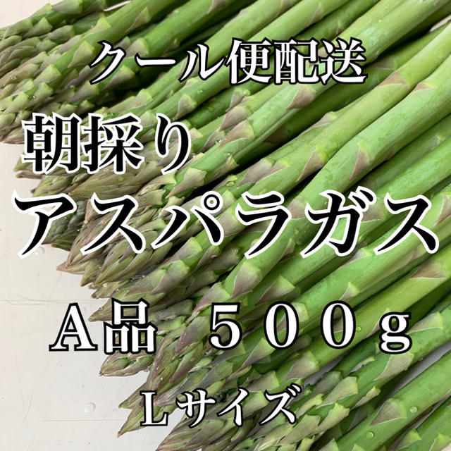栃木県産アスパラガス500g 食品/飲料/酒の食品(野菜)の商品写真
