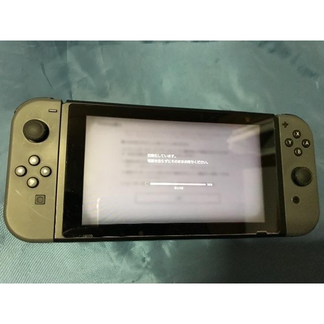 Nintendo Switch 本体（グレー）ケース付き 2