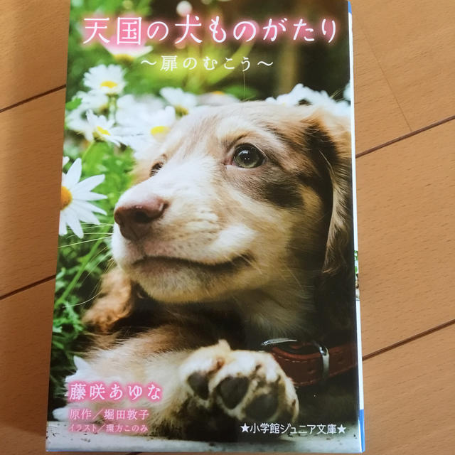 天国の犬ものがたり 扉のむこう エンタメ/ホビーの本(絵本/児童書)の商品写真