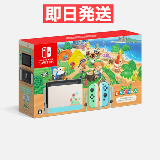 Nintendo Switch - 【最安値！？】任天堂Switch あつまれどうぶつの森 セット