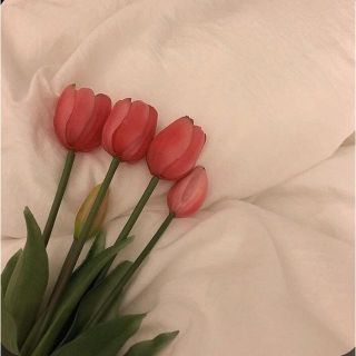 ♡rara♡様専用ページ(その他)