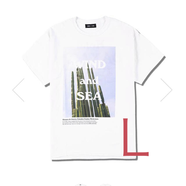 wind and sea OAXACA Tee﻿ / WHITE Ｌ