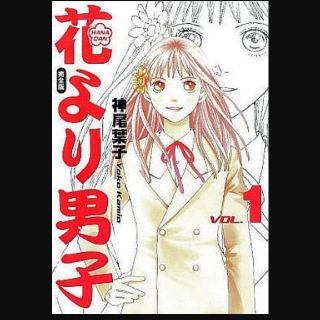 シュウエイシャ(集英社)のnaru様専用　花より男子 漫画全巻(全巻セット)
