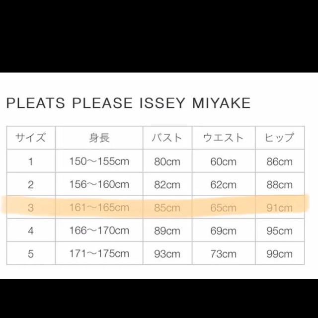 PLEATS PLEASE ISSEY MIYAKE(プリーツプリーズイッセイミヤケ)のISSEY MIYAKE プリーツプリーズ ロングワンピース レディースのワンピース(ロングワンピース/マキシワンピース)の商品写真
