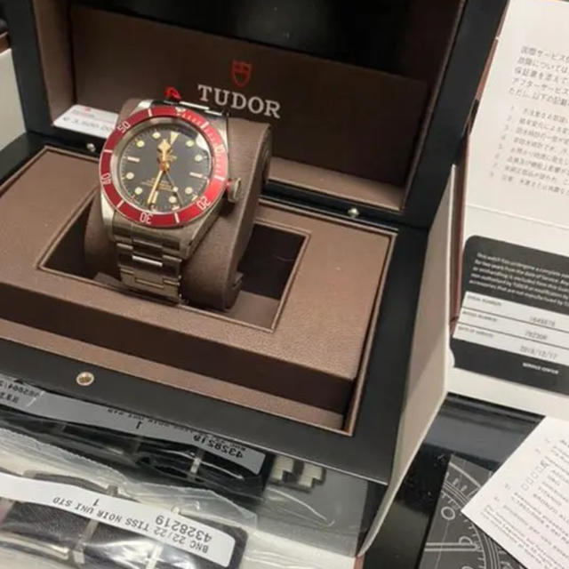 チュードル(チューダー)Tudor ヘリテージブラックベイ