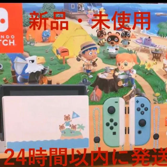 新品 Nintendo Switch 本体 あつまれどうぶつの森 同梱版 セット